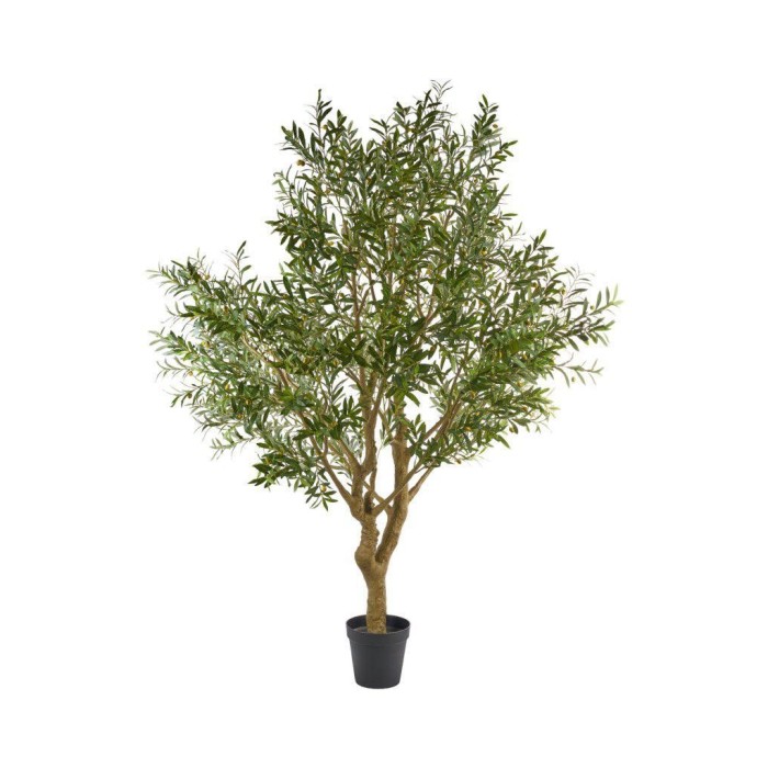 ALBERO ULIVO H250